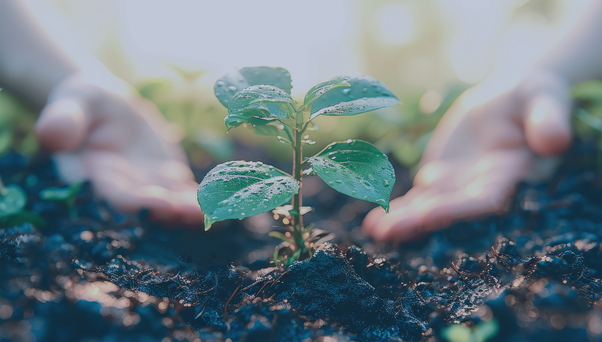 持続可能な事業経営